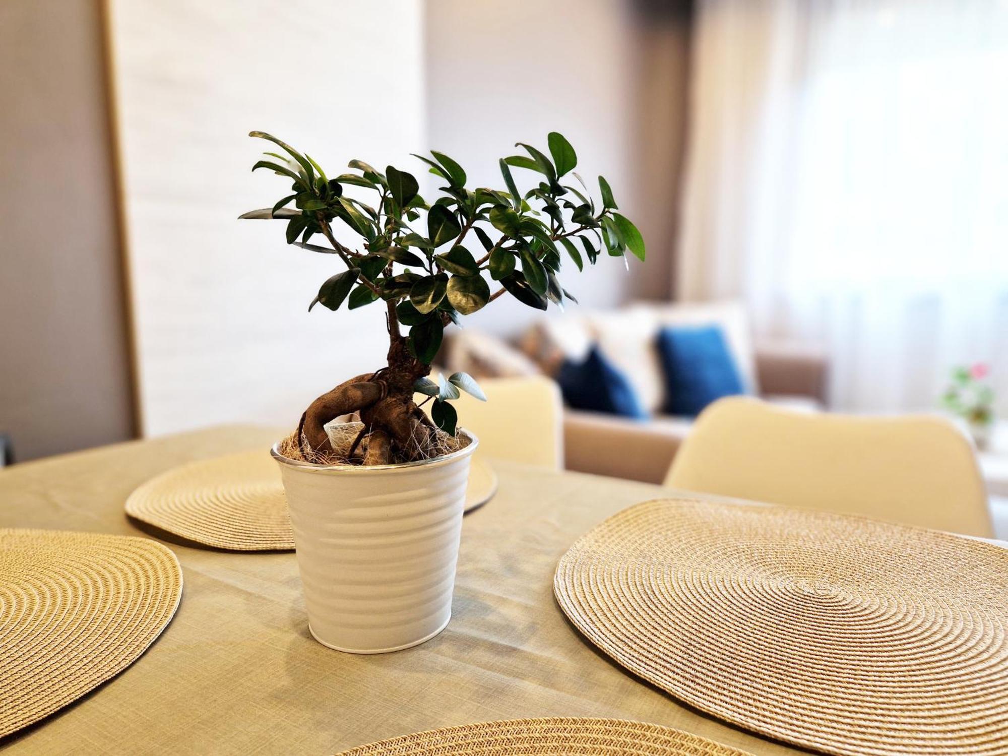 Central Apartment - Spacious Designer Property In Стара Загора Екстериор снимка